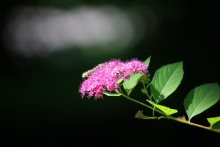 In the murky depths / ***