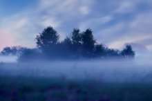 In the sea of ​​fog / *****