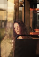 The bus / ***