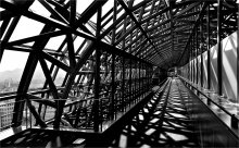 Gallery / ***