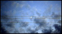 Music of the Moon / Music of the Moon