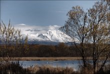 Mid-autumn / ***