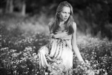 Tell me a fable / ***