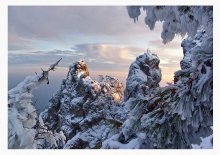 Postcard for Christmas / ***