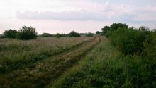 Auf dem Heimweg / ____________________*