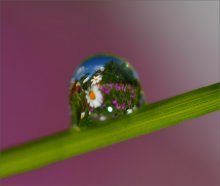 Drop / ......
