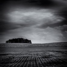Untitled / ***