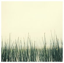 Lake / ***