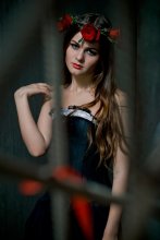 Gotik / ***
