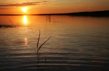 Seeing the sun ... / ***