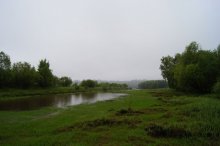 Marshy woodlands / ***