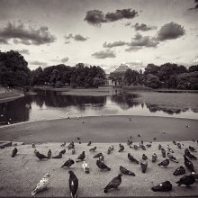 Avian Strand / .....