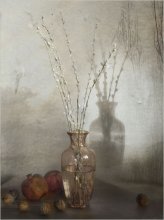 pussy-willow / ***