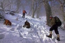 On the winter trail / ***
