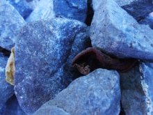 The energy of the earth / ...