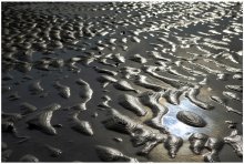 Bald wird die Flut ... / ***