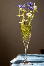 cornflowers and daisies / ***