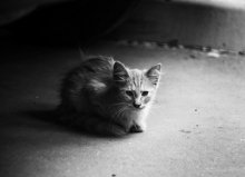Homeless / ***