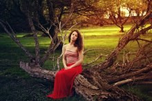 Fairy Forest / ......