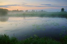 wakes up as the lake / ***
