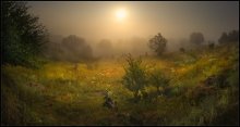Dream Valley OAK und der Master Class Programm Schnäppchen ... / ***