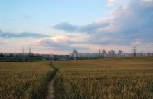 In my city ... / ***************