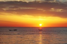 At dawn / ***