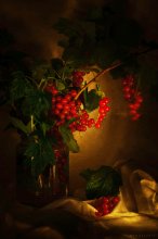 Currant / ***