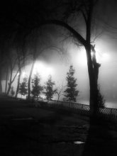 Ripple night / ***