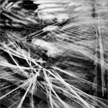 [ ‎*test yourself on the railroad... ] / ***