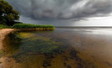 Zwischen dem regen / ***