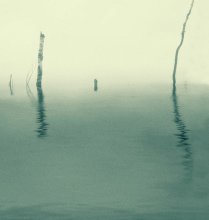 In den Sümpfen .. / **************