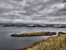 ... In our harbor, fishing boats came ... ... / ***