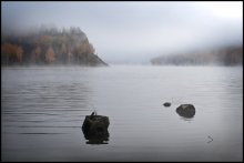 Misty Morning / ***