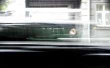 summer rain / ***