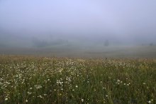 Kräuter Transkarpatien ... / [img]http://img-fotki.yandex.ru/get/6402/84037677.c/0_9c115_e1303800_XXXL.jpg[/img]
