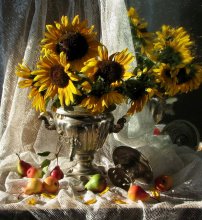 Carefree summer / *********************