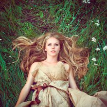 In the grass / ...