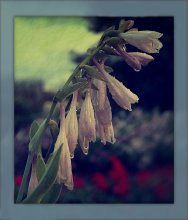 Mood of Rain / **************