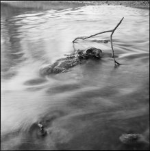River / ***