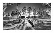 the shadows ... / ...........