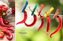 Chile and cherry / =======