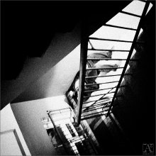 [ Levitation ] / ***