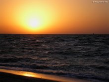 Dawn / ***
