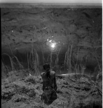mute the moon turned into a dream / ***