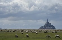 Mont St. Michel / The monastery of Mont St. Michel in Normandy