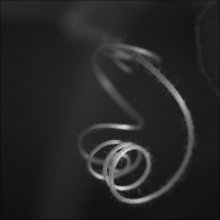 Flora / macro