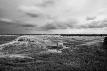 Harvesting / ...............................