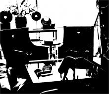 The room / ***