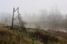 "Depressive Autumn" / ***